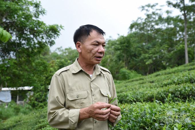 La Thanh Lam, Leader of Tat Thang Commune Agricultural Extension Team. Photo: Duong Dinh Tuong.