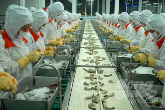 Seafood exports will reach USD 12 billion by 2025. Photo: Le Hoang Vu.