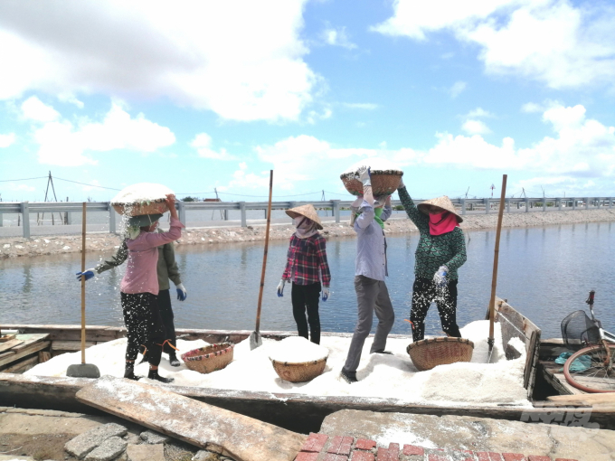 Therefore, only the elderly farmers have continued working in the salt fields while most of young farmers have been seeking other jobs. Photo: Trung Quan.