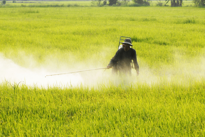 The Ministry of Agriculture and Rural Development ask localities to further tighten crop disease prevention and control during the ongoing COVID-19 pandemic. Photo: TL.