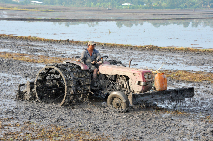 Soil becomes poor in nutrients due to continuous rice production which is one of the reasons for inefficient rice production. Photo: Le Hoang Vu.