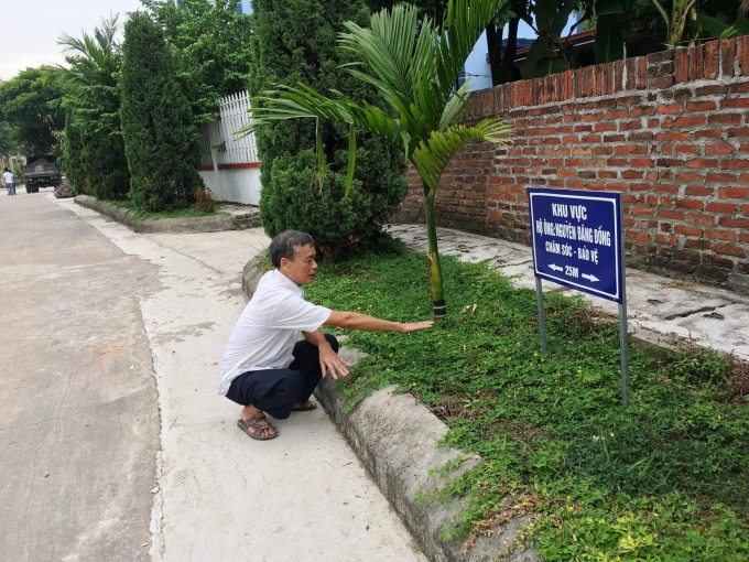 Mỗi hộ dân tự trách nhiệm trồng, chăm sóc vỉa hè gần nhà mình, để đường làng ngõ xóm luôn xanh sạch đẹp, ảnh: Đồng Văn Thưởng. 
