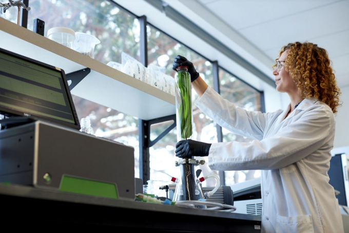 Nhà khoa học của Pivot Bio dùng quang phổ kế để đo hoạt động khử axetylen trong một mẫu thực vật sử dụng loại phân bón sinh học của hãng để thay thế phân bón tổng hợp có hại cho môi trường ở bang California, hôm 24/4/2021. Ảnh: Reuters