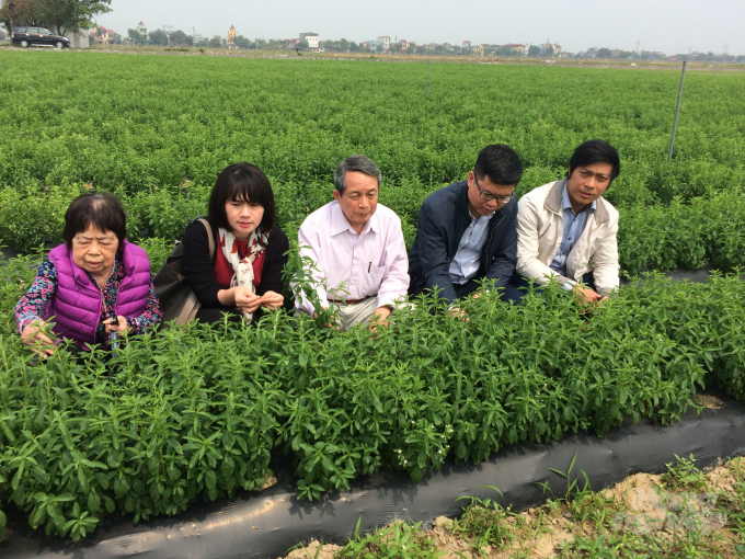GS Trần Đình Long thăm cơ sở nghiên cứu của Viện Khoa học Nông nghiệp Việt Nam. Ảnh: NVCC.