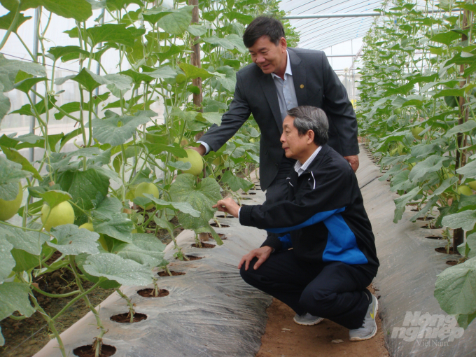 GS Trần Đình Long (ngồi) thăm mô hình trồng dưa lưới trong nhà kính tại Hà Nam của VINASEED. Ảnh: NVCC.