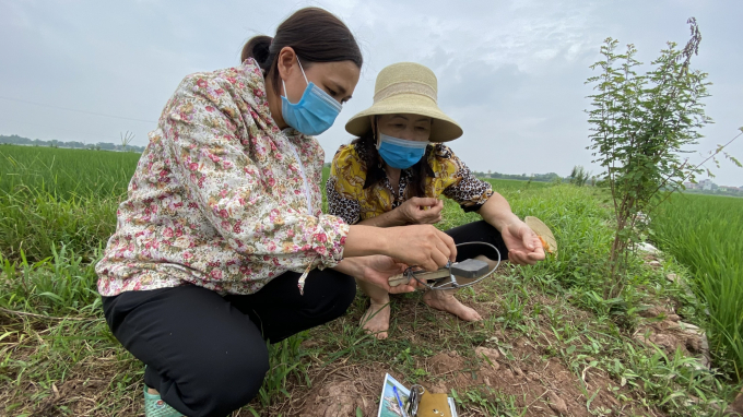 Cán bộ trồng trọt và bảo vệ thực vật Hà Nội hướng dẫn bà con nông dân cách sử dụng bẫy bán nguyệt. Ảnh: NH.