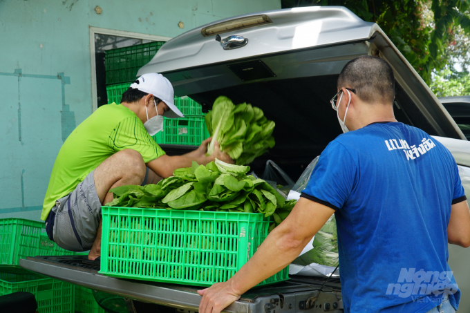 'Tổ phản ứng nhanh Covid-19' thu hoạch 240kg rau thủy canh được HTX Tuấn Ngọc (TP Thủ Đức) tài trợ, phát cho bà con cư dân Chung cư Sunview. Ảnh: Nguyễn Thủy.