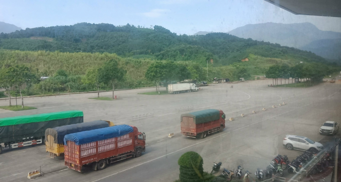 Trucks carrying farming products arrive Kim Thanh International Border Gate No. 2 in the northern province of Lao Cai. Photo: H.D.