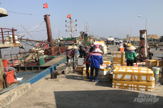 Thương lái thu mua hải sản tại Cảng cá Ninh Cơ. Ảnh: MC.