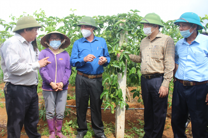 Lãnh đạo ngành nông nghiệp Quảng Trị rất kỳ vọng vào tiềm năng cây chanh leo ở những vùng đất khó của tỉnh. Ảnh: Việt Toàn.
