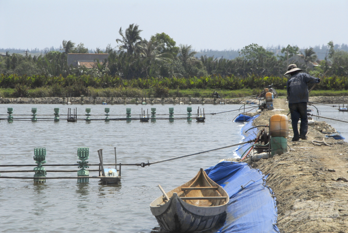 Nạn đào ao nuôi tôm vô lối đang khiến ngành thủy sản Bình Định đau đầu về chuyện xử lí dịch bệnh, môi trường. Ảnh: Vũ Đình Thung.