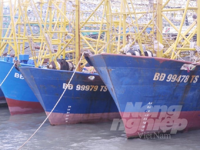  A line of fishing boat docking at Fishing Port De Ghi. Photo: VD. 