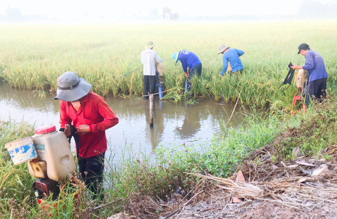 Tổ nông vụ ấp 3 có 10 thành viên giúp cho người dân yên tâm không phải ra đồng trong thời điểm giãn cách xã hội. Ảnh: Lê Hoàng Vũ.