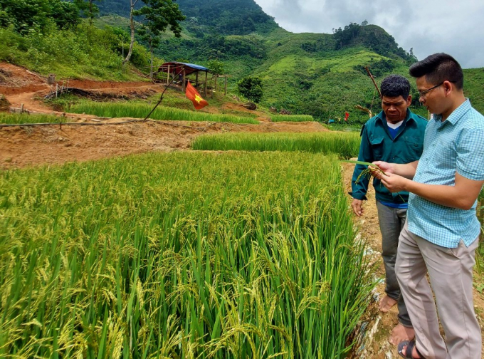 Cán bộ xã Trọng Hóa trao đổi, hướng dẫn thêm cách chăm sóc lúa nước cho ông Hồ Khiên. Ảnh: N.Tâm