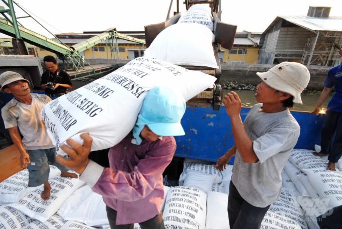 Việc vận chuyển, bốc xếp gạo tại các cảng để xuất khẩu đang hết sức bế tắc do thiếu lực lượng lao động. Ảnh: TL. 