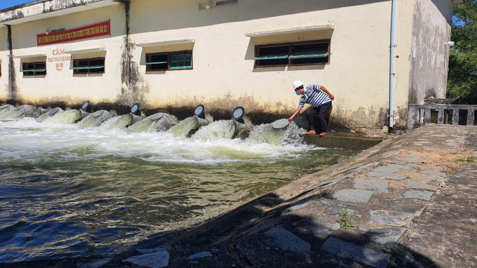 Mặn xâm nhập mạnh nên các trạm bơm phục vụ nước tưới cho sản xuất nông nghiệp ở Quảng Nam không thể hoạt động hết công suất. Ảnh: L.K.