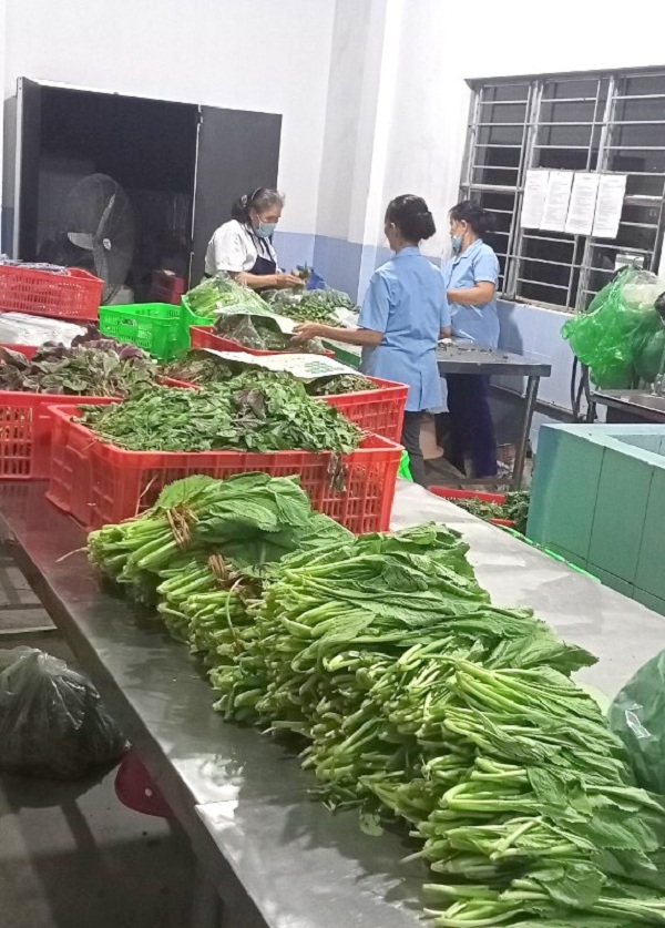 HTXNN Phước Hiệp (huyện Tuy Phước, Bình Định) sơ chế rau trước khi cung ứng ra thị trường. Ảnh: HTX cung cấp.