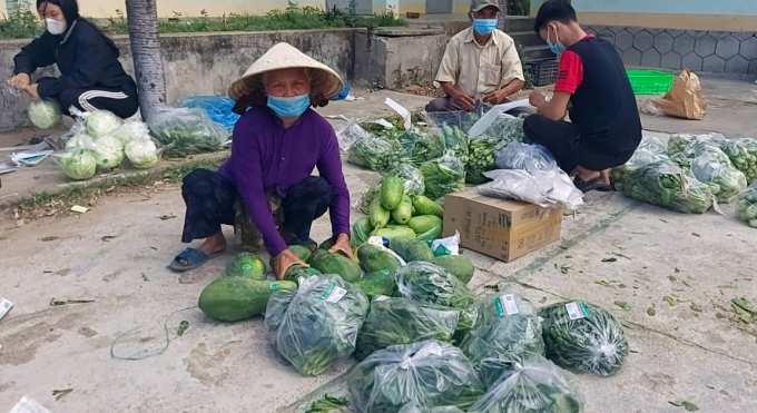Người trồng rau ở HTX Nông nghiệp Thuận Nghĩa (huyện Tây Sơn, Bình Định) đóng góp rau để gửi hỗ trợ người dân vùng dịch TP.HCM. Ảnh: Vũ Đình Thung.