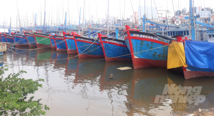 Cảng cá Tam Quan (Thị xã Hoài Nhơn, Bình Định) hiện chưa có cầu cảng, khu neo đậu cũng quá tải. Ảnh: Vũ Đình Thung.