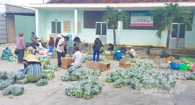 4 tấn rau xanh do người trồng rau ở HTX Nông nghiệp Thuận Nghĩa (huyện Tây Sơn, Bình Định) đóng góp được đóng gói để chuyển vào TP. HCM. Ảnh: Vũ Đình Thung.
