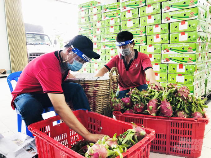 More than 900 food suppliers have registered with the Working Group 970 of agriculture ministry to provide farming products during social distancing. Photo: Minh Sang.