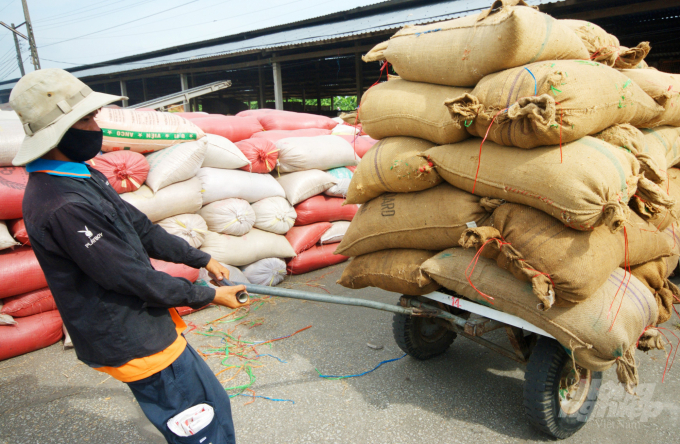 Localites in the south are suggested to establish onsite agricultural service teams to assist farmers in harvesting and transporting crops during the ongoing social distancing. Photo: Ngoc Trinh.