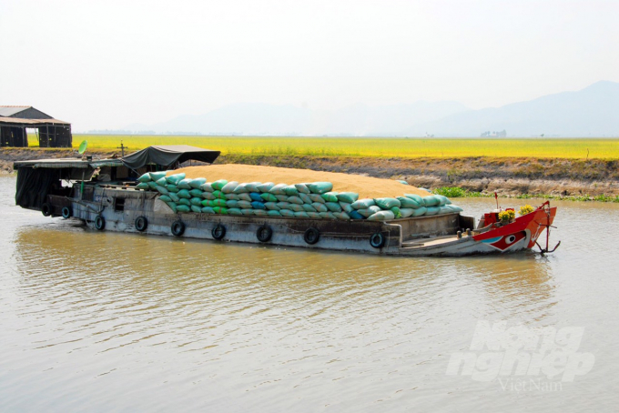 Cánh đồng lúa trù phú bạt ngàn bên dòng Kênh Võ Văn Kiệt, mồi năm đóng góp sản lượng 5-6 triệu tấn lúa, góp phần đảm bảo an ninh lương thực và xuất khẩu. Ảnh: Hoàng Vũ.