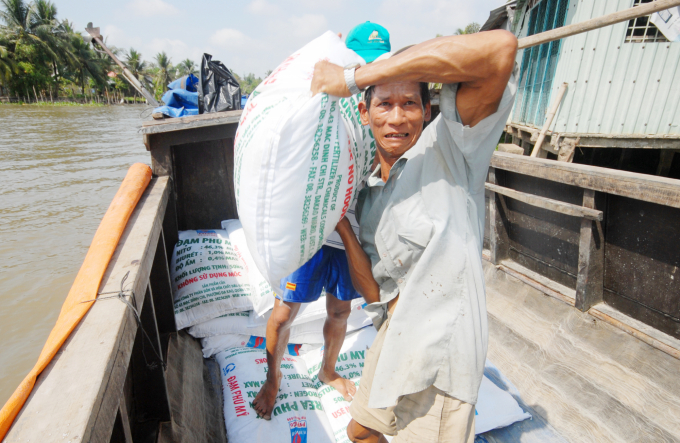 The Plant Protection Department affirmed that the fertiliser supply is sufficient to meet production needs from now until the end of the year, but in fact, the prices of many fertilisers have skyrocketed these days. Photo: LHV.