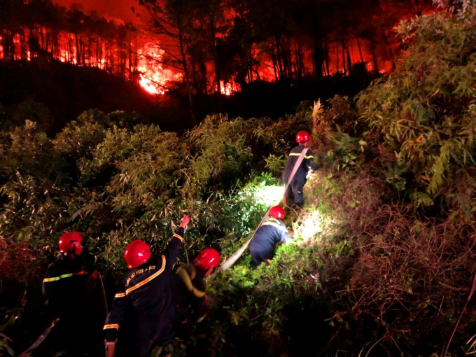 Trong khoảng nửa năm 2021, ở Thừa Thiên - Huế có 313 ha rừng các loại bị thiệt hại do hỏa hoạn. Ảnh: T.T.