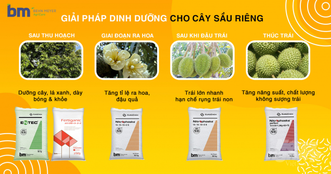 Một số sản phẩm phân bón của Công ty TNHH BEHN MEYER AGRICARE Việt Nam. Ảnh: LHV.
