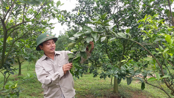 Nhiều nông dân ở Thuận Đức đã 'nằm lòng' về kỹ thuật sản xuất cây ăn quả theo VietGAP. Ảnh: TN.