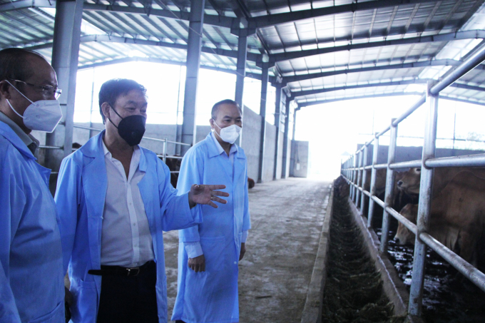 Thứ trưởng Bộ NN-PTNT Phùng Đức Tiến (ngoài cùng bên phải) cùng tổ công tác đặc biệt phía Bắc (Bộ NN-PTNT) kiểm tra tình hình chăn nuôi và giết mổ đàn bò tại Công ty Cổ phần Đông Thành Hà Nội. Ảnh: Đức Minh.