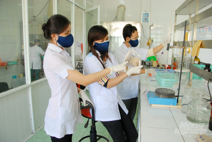 Các nhân viên Công ty TNHH Cỏ May Lai Vung (Đồng Tháp) đang làm việc theo phương án '3 tại chỗ' để phòng, chống dịch bệnh Covid-19. Ảnh: Lê Hoàng Vũ.