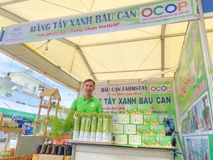 Mr. Hanh has connected dozens of households to establish a production chain, supplying asparagus produced under VietGAP standards and is moving towards organic production. Photo: Do Doanh.