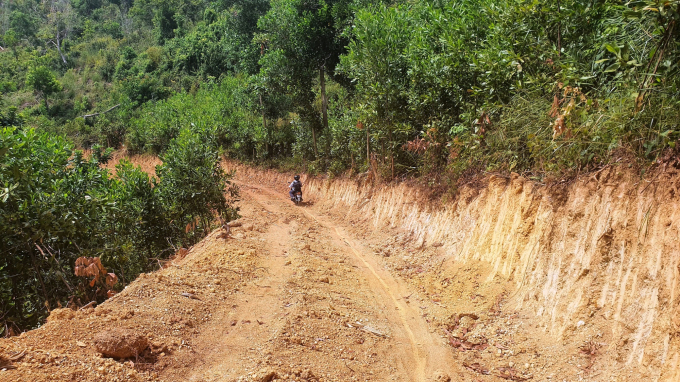 Tuyến đường có chiều dài gần 600m, rộng 3m được các đối tượng sử dụng phương tiện cơ giới mở ra trong khu vực rừng phòng hộ Phú Ninh (tỉnh Quảng Nam). Ảnh: L.K.