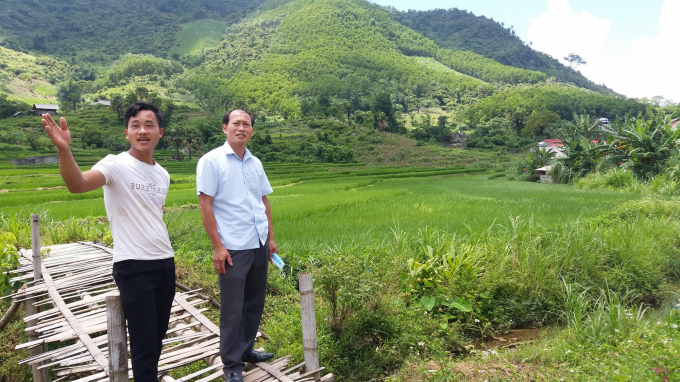 Màu xanh của cây trồng nông - lâm nghiệp luôn phủ kín quanh năm, đã giúp cho người Mông trên núi Tèn có đời sống ngày càng khấm khá, thoát đói, đảm bảo lương thực, dinh dưỡng. Ảnh: Đồng Văn Thưởng.