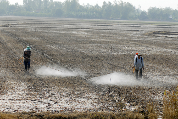 The situation of using pesticides and fertilizers is still common in the Mekong Delta, causing waste and increasing the cost of rice production. Photo: LHV.