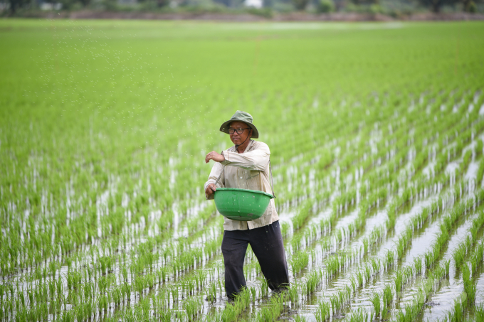 Photo: Tung Dinh.