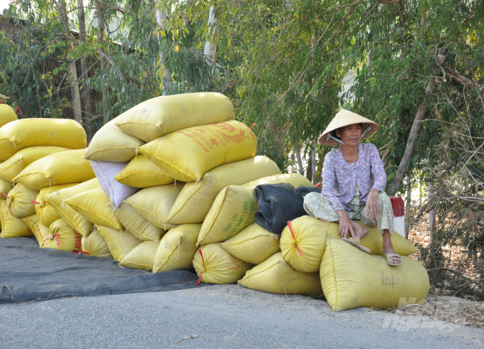 Nông dân An Giang vào mùa thu hoạch lúa. Ảnh: HĐ