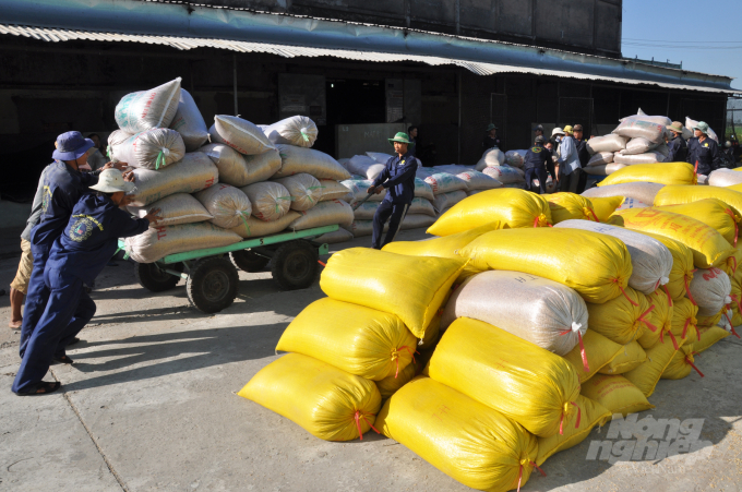 Vào mùa thu mua lúa tại các nhà máy sản xuất kinh doanh lúa gạo ở ĐBSCL. Ảnh: HĐ