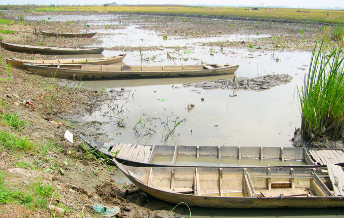 Ecosystems are vulnerable to impacts that alter the natural environment such as regime changes and water quality. Photo: Le Hoang Vu.