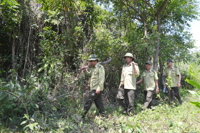 Lực lượng chức năng tỉnh Phú Yên đang nỗ lực tuần tra, phòng cháy, chữa cháy rừng. Ảnh: CA.