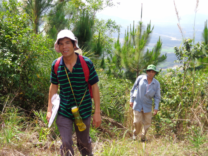Chính quyền và ngành chức năng các địa phương ở Bình Định tăng cường công tác kiểm tra rừng. Ảnh: Vũ Đình Thung.