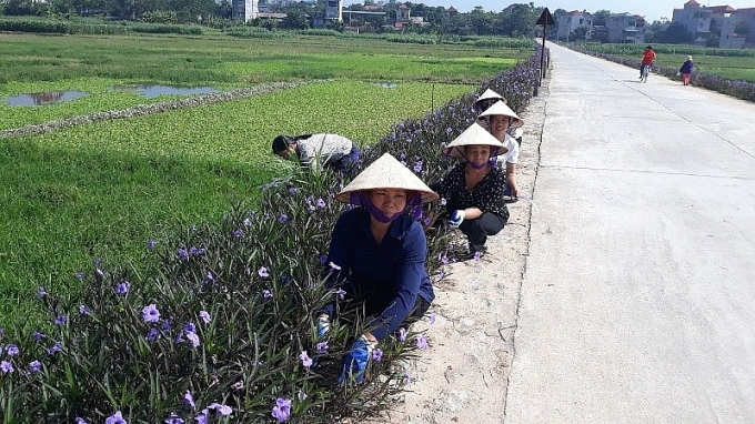 Con đường hoa phụ nữ - chung tay vì môi trường xanh – sạch – đẹp tại xã Thái Hòa, huyện Lập Thạch.