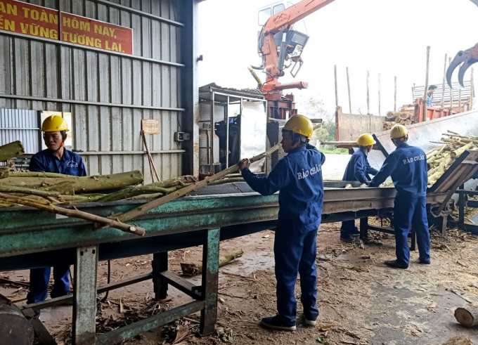 Công ty Bảo Châu Phú Yên có 2 nhà máy chế biến gỗ xuất khẩu. Ảnh: KS.