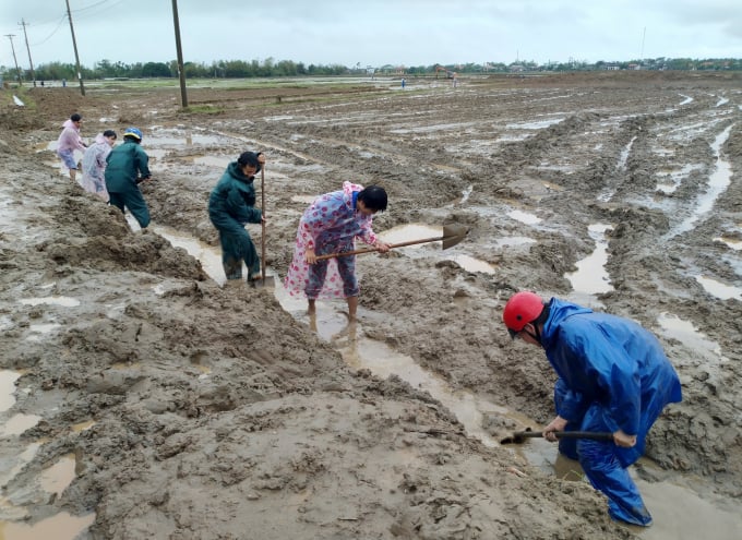 Người dân huyện Triệu Phong (Quảng Trị) cải tạo ruộng sau bão lũ cuối năm 2020. Ảnh: Công Điền.