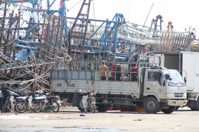 Fish is loaded into a truck at a fishing port in Quang Nam Province. Photo: L.K.
