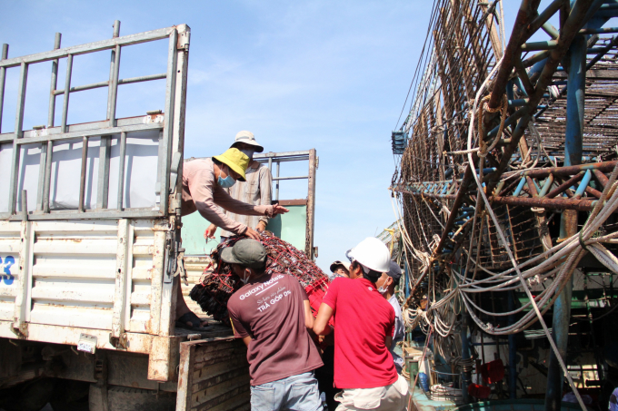 Wholesalers this year don't buy as much fish as Quang Nam fishermen expected. Photo: L.K.