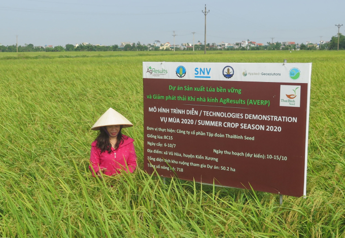 Mô hình thực hiện dự án của ThaiBinh Seed tại xã Vũ Hòa, huyện Kiến Xương (Thái Bình). Ảnh: TL.