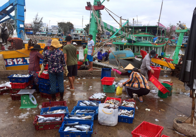 Binh Thuan province is making efforts to come up with solutions to support fishermen to consume seafood. Photo: A.T.